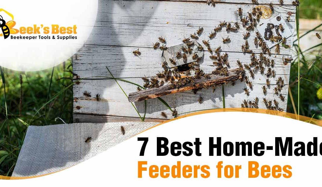 7 Best Home-Made Feeders for Bees