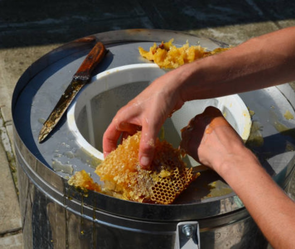 Affordable honey extractor