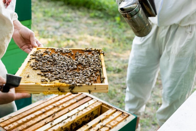 Beehive frame types