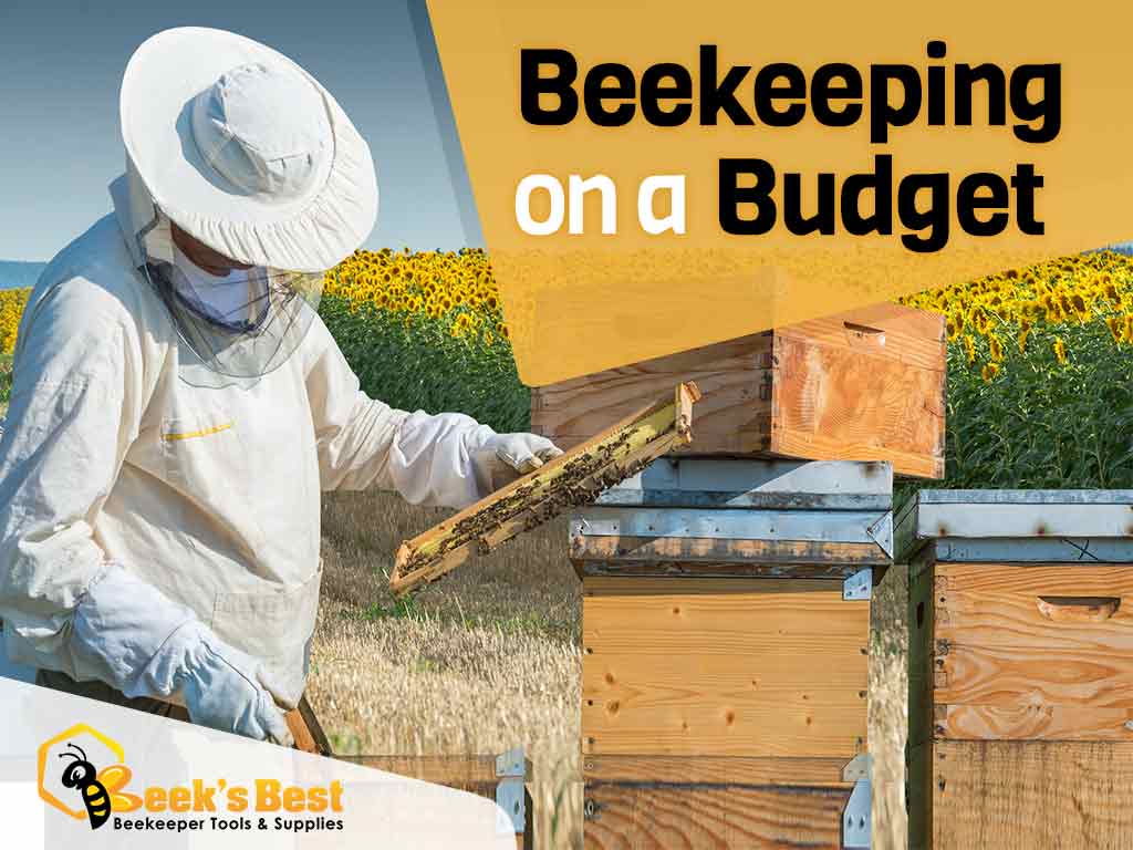 Simple Beekeeping on a Budget