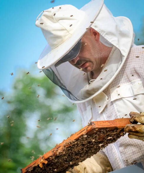 Beekeeping protective suits