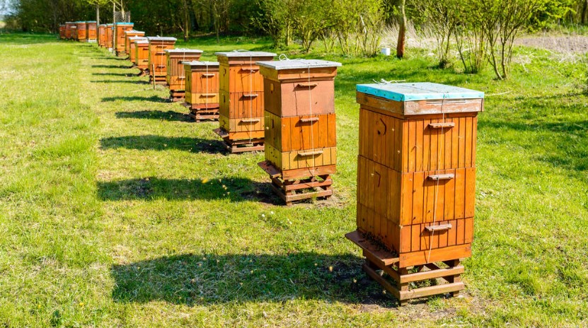 Beekeeping supers