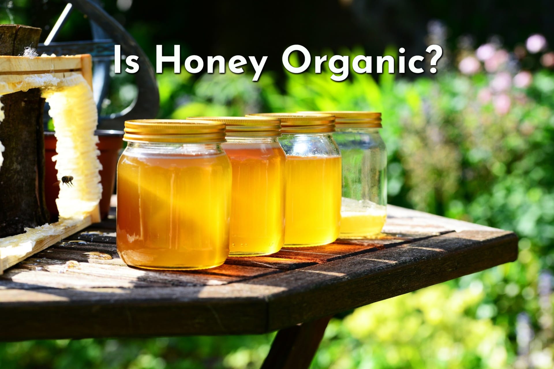 Is Honey Organic? Jars of honey sitting in the sun
