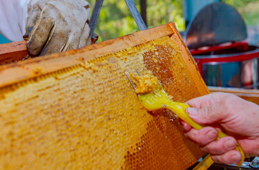 Manual honey extractor