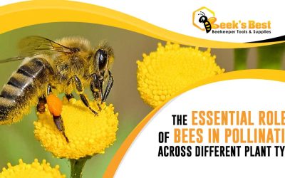 The Essential Role of Bees in Pollination Across Different Plant Types