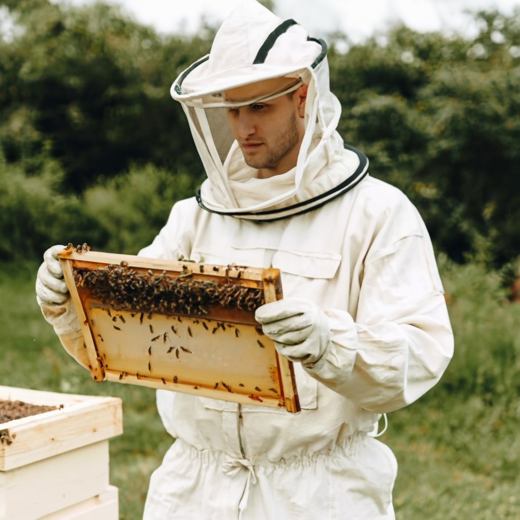 Maintenance and Cleaning of Beekeeping Equipment