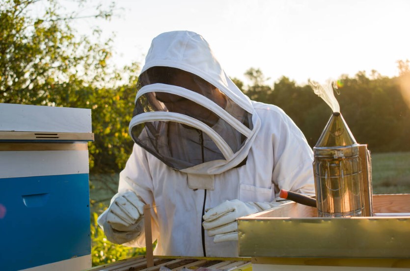 beekeeping Smokers and Fuel